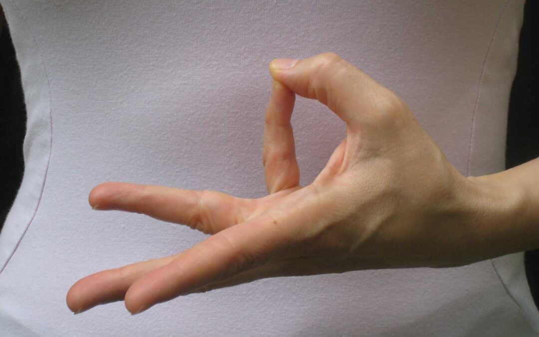 Jala Water Mudra