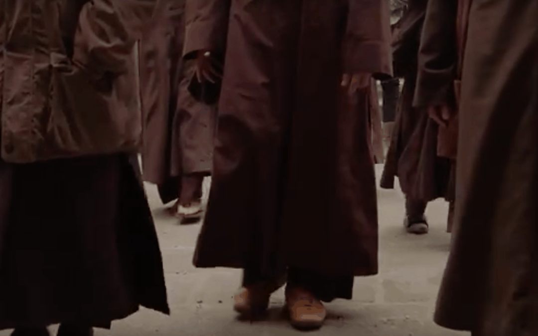 VIDEO Mindful Walking with Thich Nhat Hanh