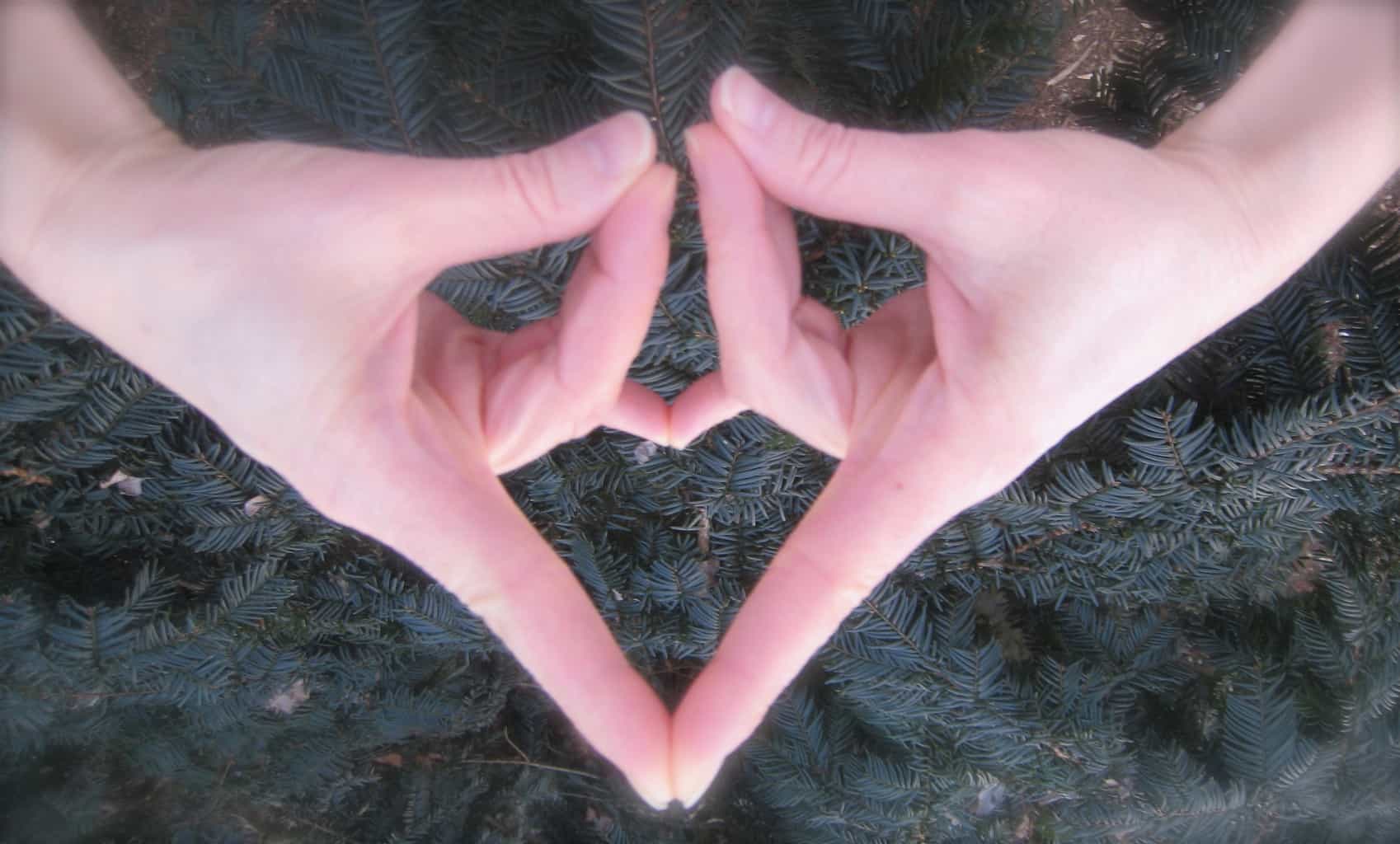 Pranidhana Mudra Jennifer Reis Yoga