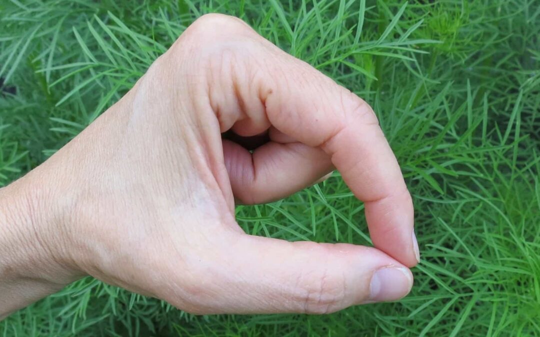 Chinmaya Mudra