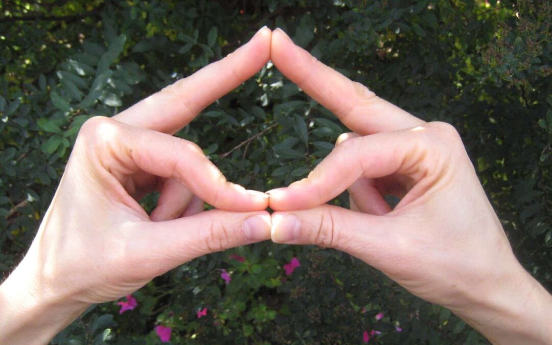 Ignite Your Spark Mudra Flow!