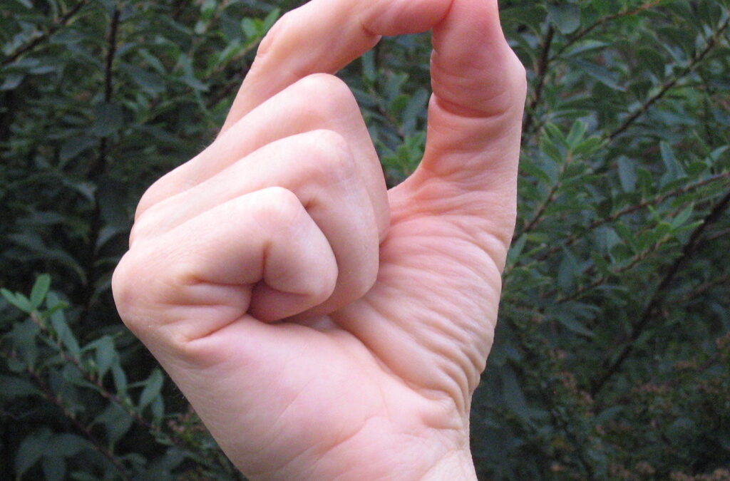 CHINMAYA MUDRA