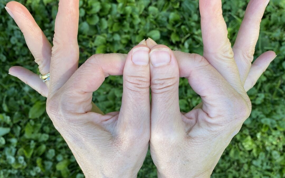 Mani Ratna Mudra