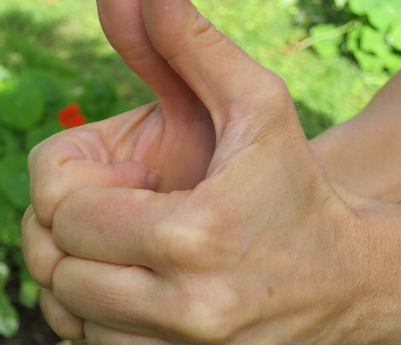 Mushtikam Mudra