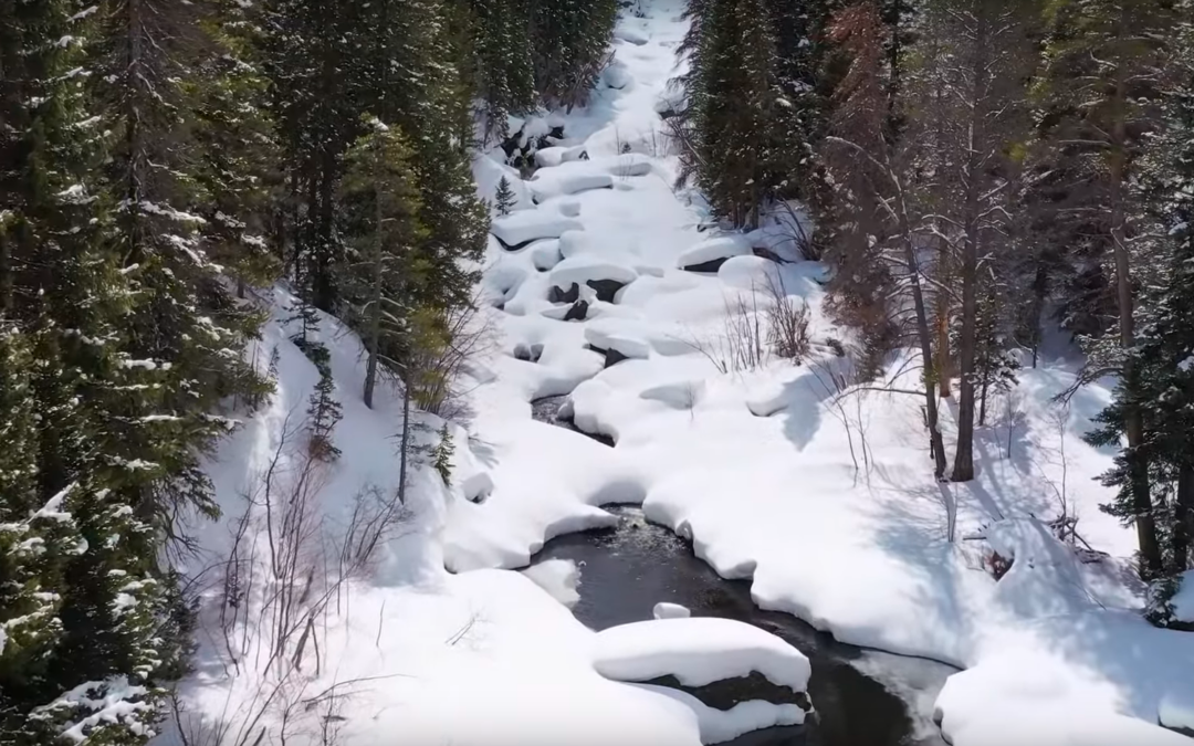 VIDEO: Winter Water Element Wonderland