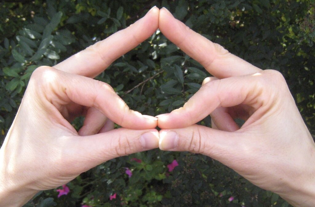 Vajra Diamond Mudra