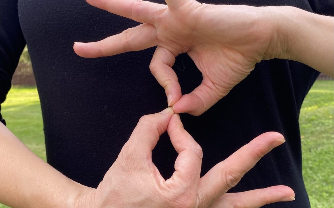 Dharma Chakra Mudra