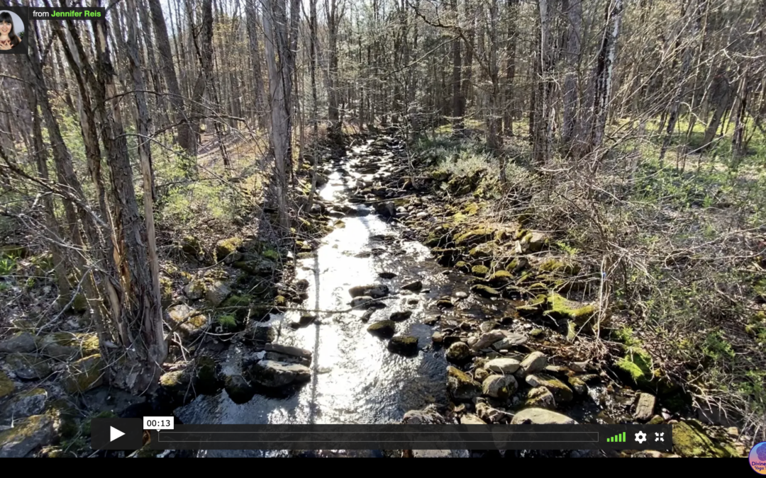 VIDEO: Calming Spring Stream