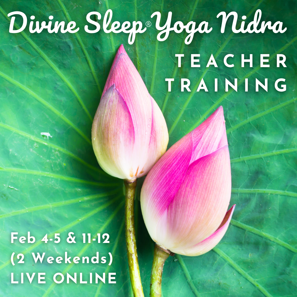 DIVINE SLEEP® YOGA NIDRA TEACHER TRAINING – LIVE ONLINE
