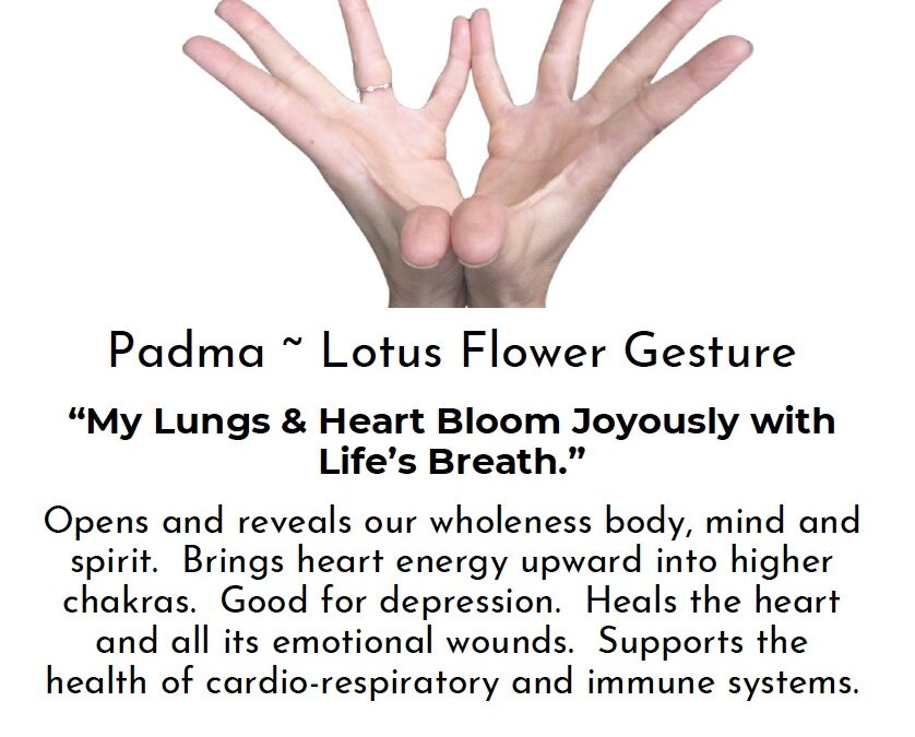 Immune Boosting Mudras